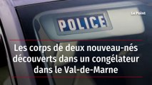 Les corps de deux nouveau-nés découverts dans un congélateur dans le Val-de-Marne