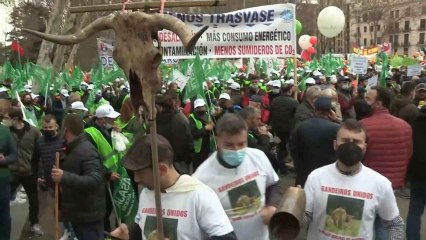 El campo pide ayudas urgentes en una marcha en Madrid