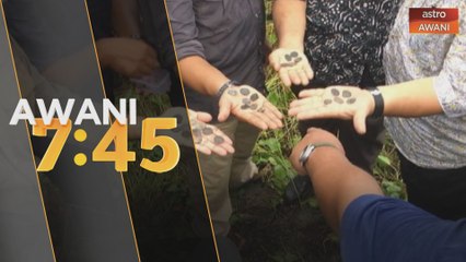 Artifak rangka kapal karam berusia 1,000 tahun ditemui