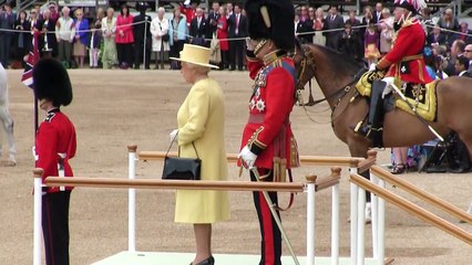Queen’s guard ditches post to fight Vladimir Putin’s forces in Ukraine