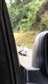 Guy bombs massive hill while laying on his back on skateboard