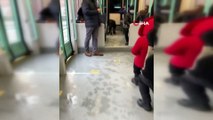 Tramvayda yolcudan yer isteyen köpek sosyal medyayı salladı