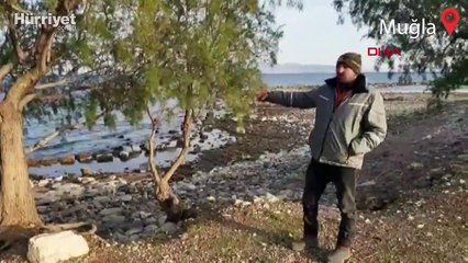 Datça'da deniz çekildi, 2 bin yıllık limanın kalıntıları göründü