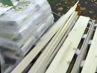 The Outer Limits S01 E02