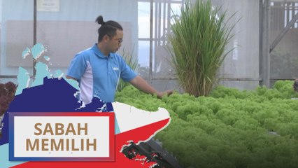 PRN Sabah: Jadikan pertanian sebagai perniagaan