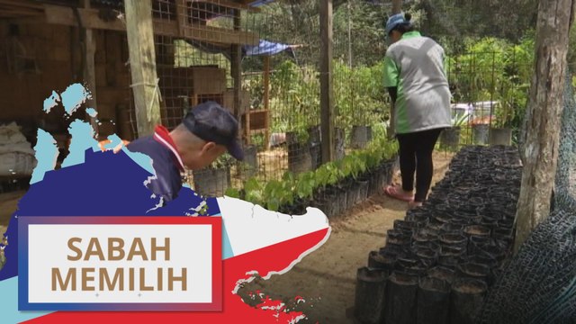 PRN Sabah: Transformasi pertanian, pelancongan di Sabah kurangkan pengangguran