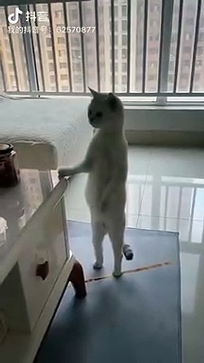 لما_تصحى_من_النوم_فجأة_وتسمع_صوت_مرتك_بتقول_:_هو_بس_يصحى_من_النوم_أنا__أواجهه_وأعرف_اللي_صار_!!!شكلك_وإنت_عم_تسمع_(