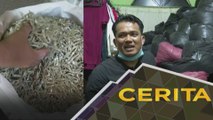 Cerita Sebalik Berita: Di sebalik PRN Sabah - Cerita rakyat di Bongawan