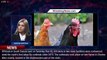 85K birds euthanized in South Dakota amid avian flu outbreak - 1breakingnews.com