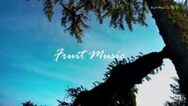 Fruit Music Ft. Anas otman  -  Everdream _Fruit Music  _anasotman2022 _edwardmaya2022 _akcent2022(360P)