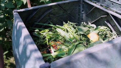 pensez à regarder sous votre lit...