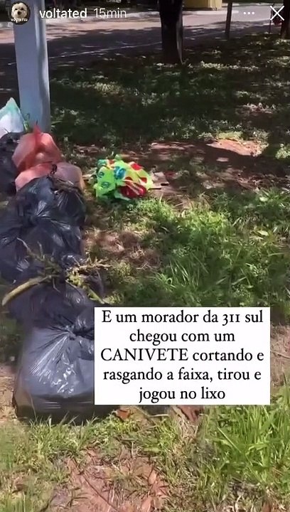Faixa de 'procura-se cachorro roubado' é destruída na Asa Sul