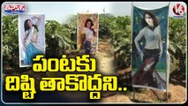 Nizamabad Farmer Puts Up Heroines Flex To Protect Crop From Evil Eye _ V6 Weekend Teenmaar