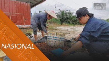 1000 Projek PPP FELDA menjelang tahun 2021