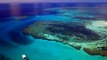 UN delegation to visit reef after severe coral bleaching