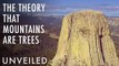 The Strange Theory That Mountains Are Trees | Unveiled
