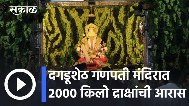 Pune l दगडूशेठ गणपती मंदिरात 2000 किलो द्राक्षांची आरास l Sakal