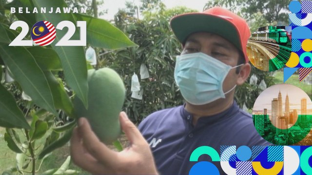 Belanjawan 2021: Petani harap jaringan penghantaran tanaman ditambah baik