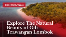Explore The Natural Beauty of Gili Trawangan Lombok