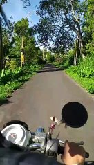 Pemandangan Pagi Desa Wanagiri