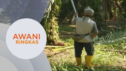 AWANI Ringkas: Keputusan Felda kurangkan pinjaman sara hidup disambut baik