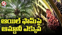 TS Govt Plan To Increase Oil Farm Cultivation In Telangana _ V6 News