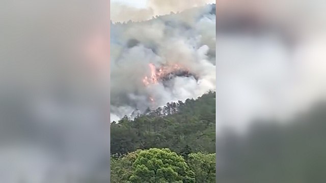 Çin'de yolcu uçağı düştü