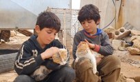 رغم البرد القارص والظروف القاسية، طفلان سوريان يرعيان مجموعة قطط من قلب مخيم اللجوء!