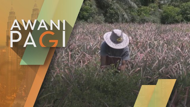 Belanjawan 2021: Sektor pertanian perlu diperkasa bagi wujud peluang pekerjaan baharu