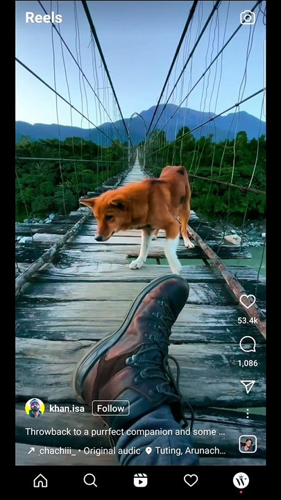 Cool Instagram Feature  you don't know about