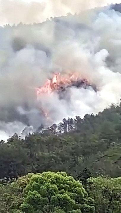 Chine: Un Boeing 737 de China Eastern Airlines avec 133 personnes à bord s'est écrasé dans le sud-ouest du pays