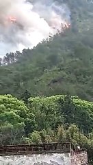 avião caiu na China, china eastern airlines