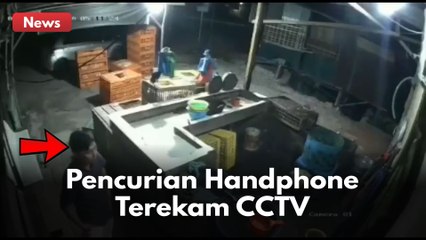 TEREKAM CCVT !! Kendarai Roda Empat  Pria Ini Sigap Gondol Handphone Pemotong Ayam !!