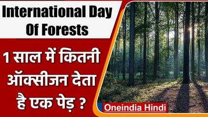 International Day Of Forests 2022: जानें क्यों मनाते है ये दिन और इसका महत्व | वनइंडिया हिंदी