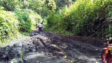 Pura Endek di dalam hutan Desa Tua Bali Utara