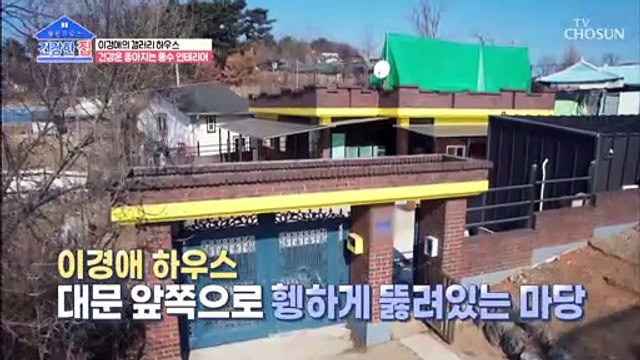 건강 인테리어 조경수로 높이는 집안의 따듯한 기운 TV CHOSUN 20220321 방송