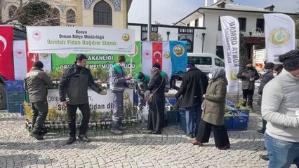40 bin karaçam ve sedir fidanı dağıtıldı