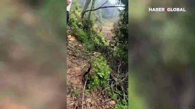 Çin'de 132 kişiyi taşıyan Boeing 737 uçağı düştü