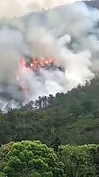 China plane crash - Boeing 737 goes down with 132 people on board