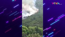 NGERI! Pesawat China Jatuh, Akibatkan Kebakaran Hutan