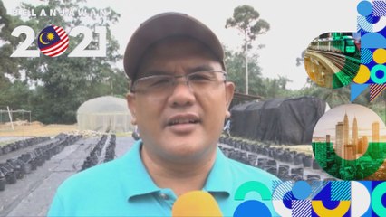 Belanjawan 2021: Pacu pertanian berimpak, bernilai tinggi