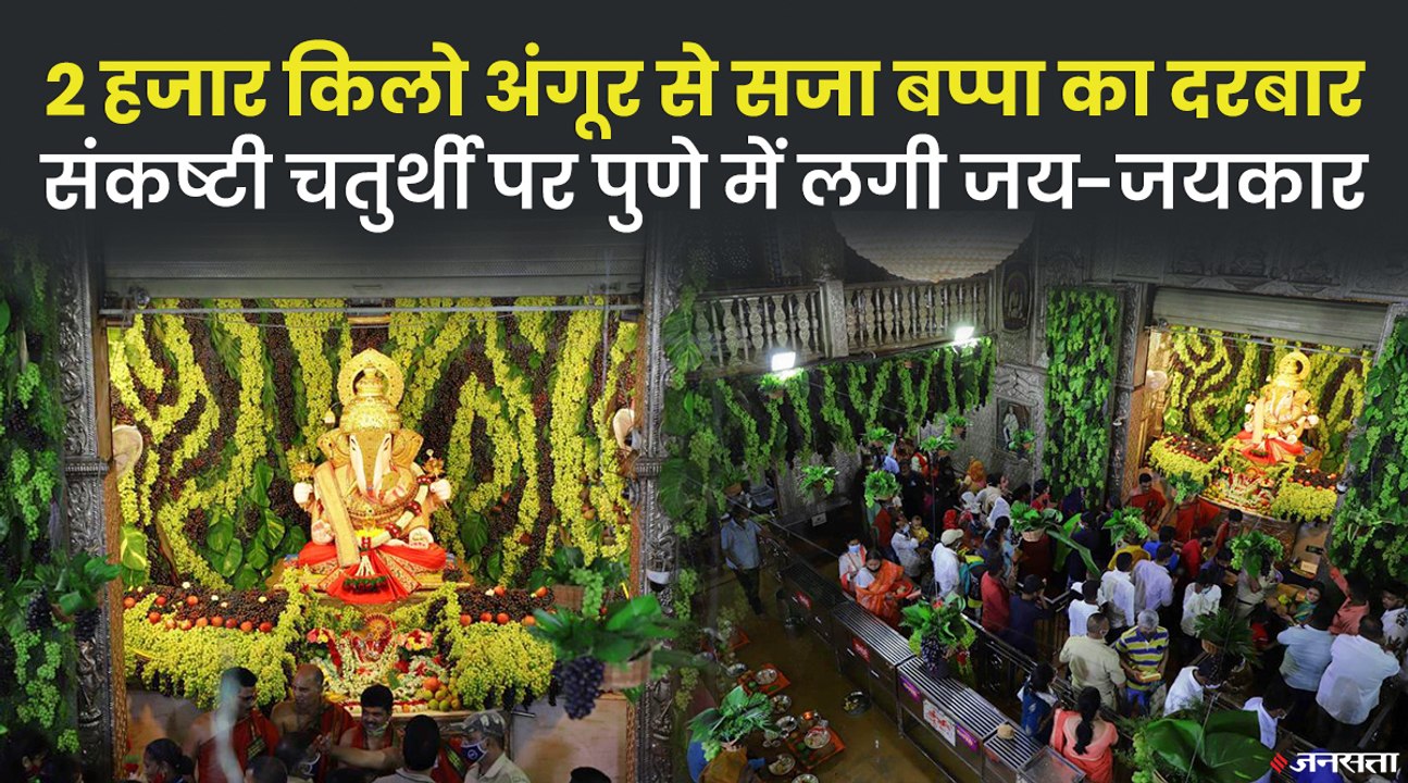 sankashti chaturthi 2022 _ पुणे में सजा बप्पा का भव्य दरबार, दूर-दूर से पहुंचे भारी संख्या में भक्त