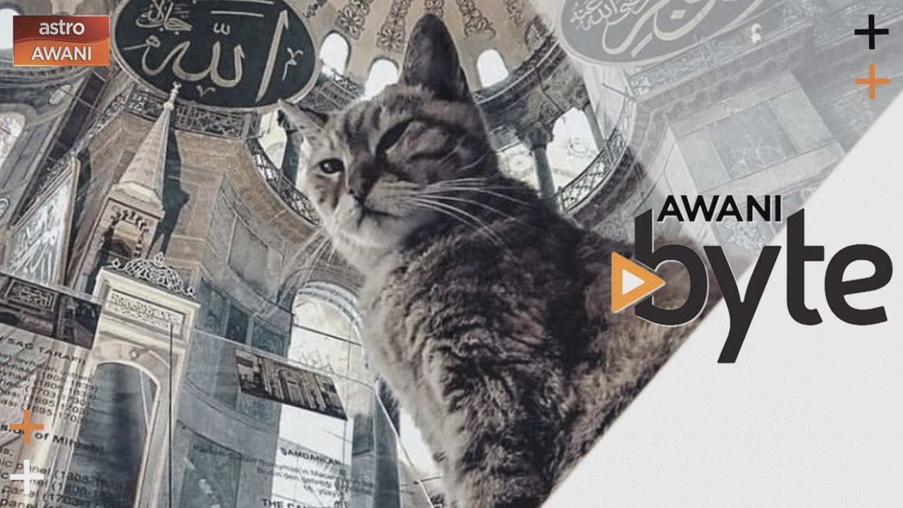 #AWANIByte: Dalam kenangan: Gli, si comel 'penj...