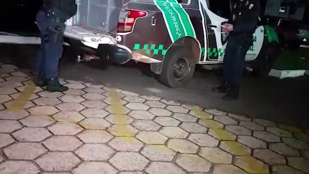 Embriagado, homem é detido em ação da GM e Transitar na Avenida das Pombas