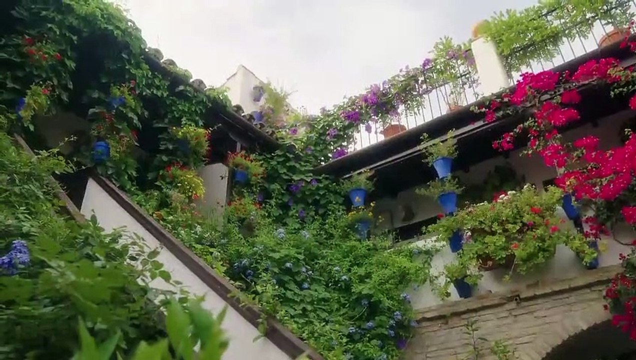 Paloma Cuevas x Rosa Clará: el 'fashion film' de su colección de vestidos de fiesta