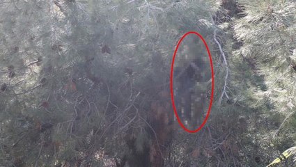 Evine "Uzaklarda aramayın" notu bırakan gencin cesedi, ağaca asılı halde bulundu