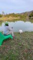 Charli the English Bulldog Tries to Catch Fish with Dad