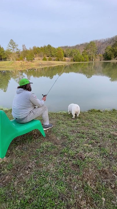 Charli the English Bulldog Tries to Catch Fish with Dad