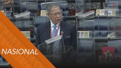 Kerajaan rancang perluas aktiviti tanaman kontan di Felda