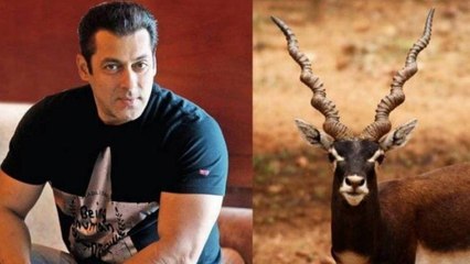 Blackbuck Poaching Case: Salman Khan के लिए राहत भरी खबर, ट्रांसफर याचिका को मिली मंजूरी । FilmiBeat